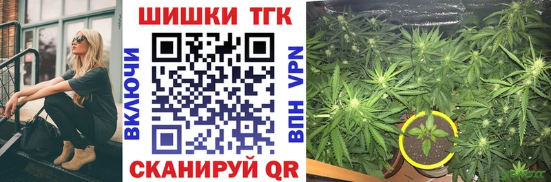 hydra как войти  купить наркотики цена  Каменка  Бошки Шишки план 